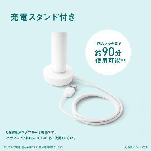 パナソニック EW-DA19-W 音波振動ハブラシ ドルツ 歯周ポケットの