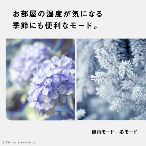 パナソニック 除湿機 ハイブリッド式 タンク容量5L ナノイー 衣類乾燥