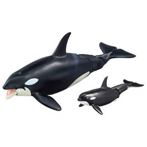 水生動物モデルコレクション アクアランド シリーズシャチ親子 タカラトミー アニア AL-08 シャチ親子（水に浮くVer