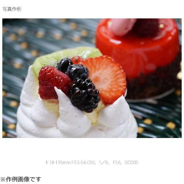 SONY（ソニー） SEL18135 交換用レンズ E 18-135mm F3.5-5.6 OSS