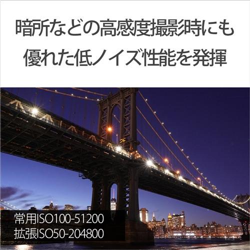ソニー ILCE-7M3 デジタル一眼カメラ α7III ボディの画像