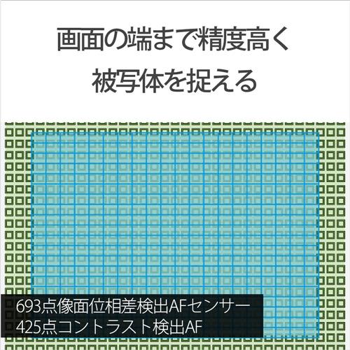 ソニー ILCE-7M3 デジタル一眼カメラ α7III ボディの画像