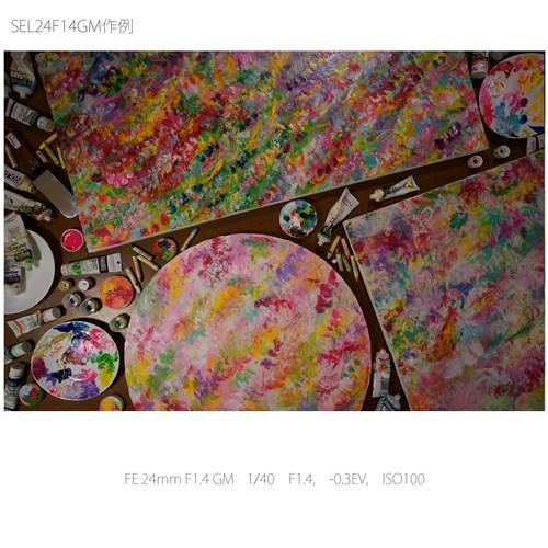 SONY ソニー SEL24F14GM 交換用レンズ FE 24mm F1.4 GM : ヤマダデンキ