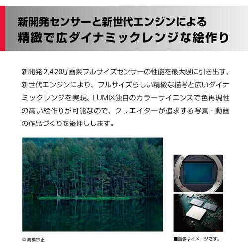 Panasonic DC-S5M2K LUMIX S5II ミラーレス一眼カメラ 標準ズームレンズキット ブラック DCS5M2Kの画像