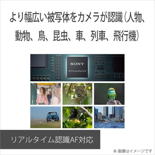 ソニー ILCE-6700M デジタル一眼カメラ α6700 高倍率ズームレンズキット ブラック ブラックの画像