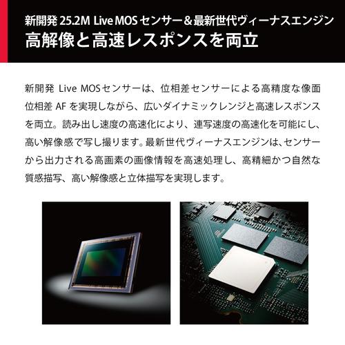 パナソニック DC-G9M2 LUMIX G9PROII ミラーレス一眼カメラ ボディ単体の画像