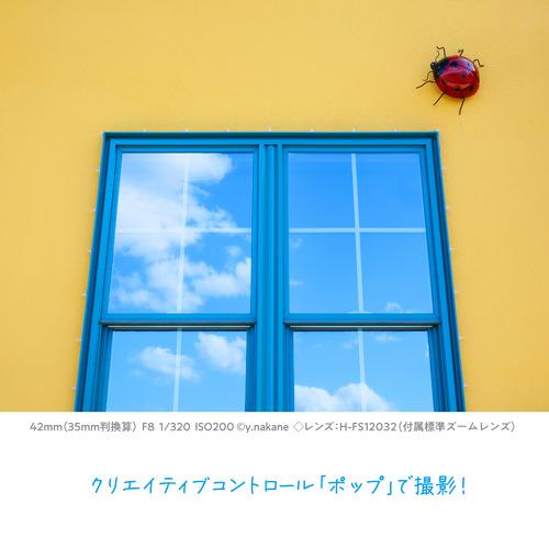 期間限定クーポン2/27〜3/22迄】パナソニック DC-G100DW-K デジタル