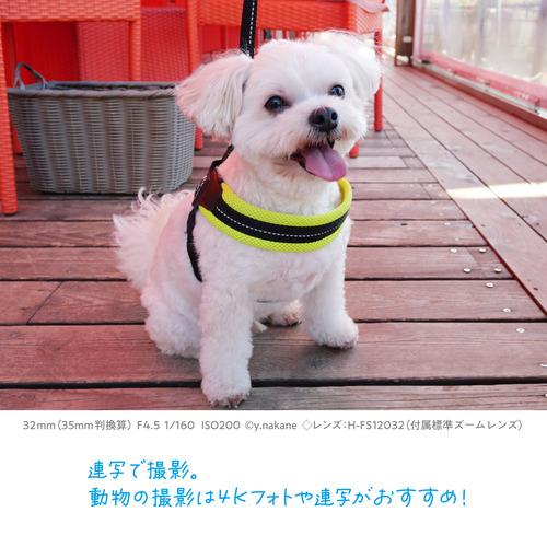 期間限定クーポン2/27〜3/22迄】パナソニック DC-G100DW-K デジタル