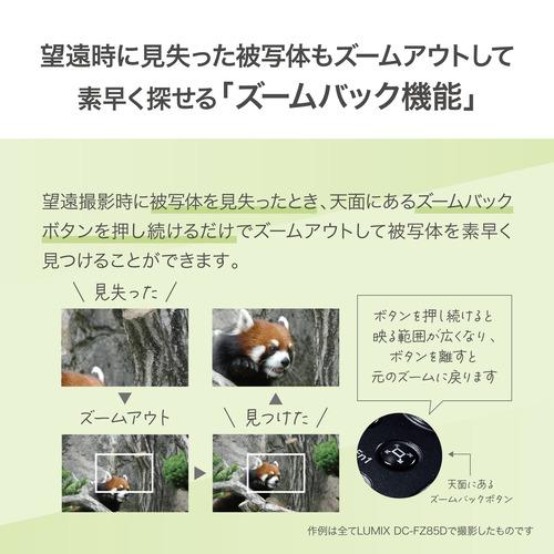 パナソニック DC-FZ85D-K コンパクトデジタルカメラ LUMIX ブラック