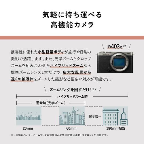 【期間限定ギフトプレゼント】パナソニック DC-S9N-K S9 広角ズームレンズキット ミラーレス一眼カメラ LUMIX ジェットブラックの画像