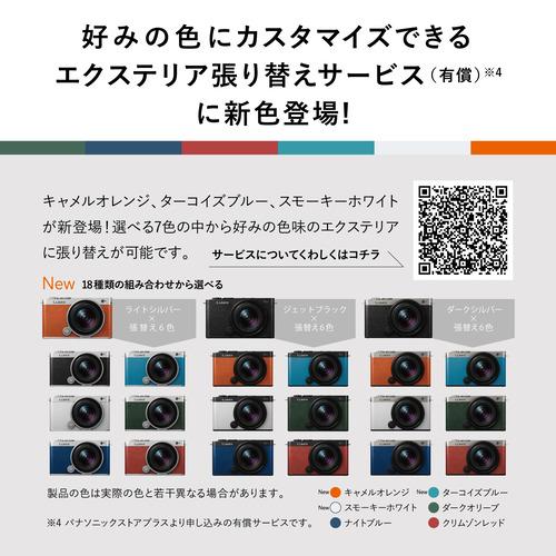 【期間限定ギフトプレゼント】パナソニック DC-S9N-K S9 広角ズームレンズキット ミラーレス一眼カメラ LUMIX ジェットブラックの画像