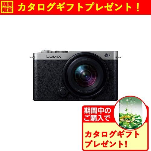 パナソニック DC-S9N-S S9 広角ズームレンズキット ミラーレス一眼 