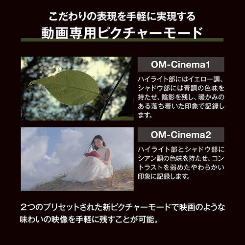 OMデジタルソリューションズ OM-3 12-45mm F4.0 PROキット SLV デジタル一眼カメラ OM SYSTEM シルバーの画像