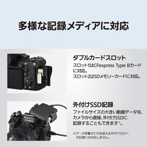 パナソニック DC-S1M2M デジタル一眼カメラ レンズキット LUMIX 部分積層型CMOSセンサー採用の画像