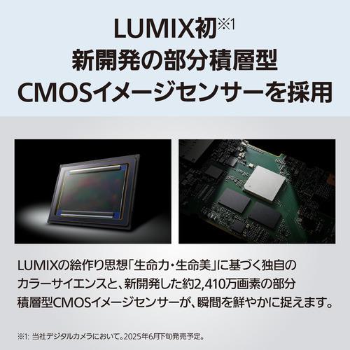 パナソニック DC-S1M2M デジタル一眼カメラ レンズキット LUMIX 部分積層型CMOSセンサー採用の画像
