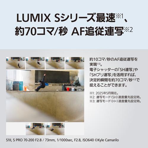 パナソニック DC-S1M2M デジタル一眼カメラ レンズキット LUMIX 部分積層型CMOSセンサー採用の画像