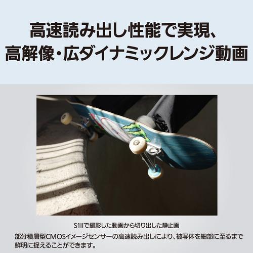 パナソニック DC-S1M2M デジタル一眼カメラ レンズキット LUMIX 部分積層型CMOSセンサー採用の画像