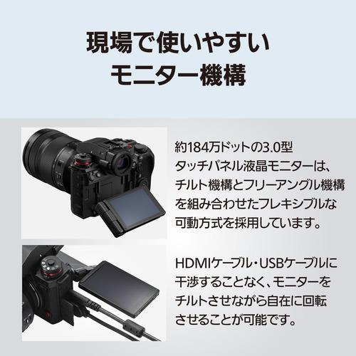 パナソニック DC-S1M2M デジタル一眼カメラ レンズキット LUMIX 部分積層型CMOSセンサー採用の画像