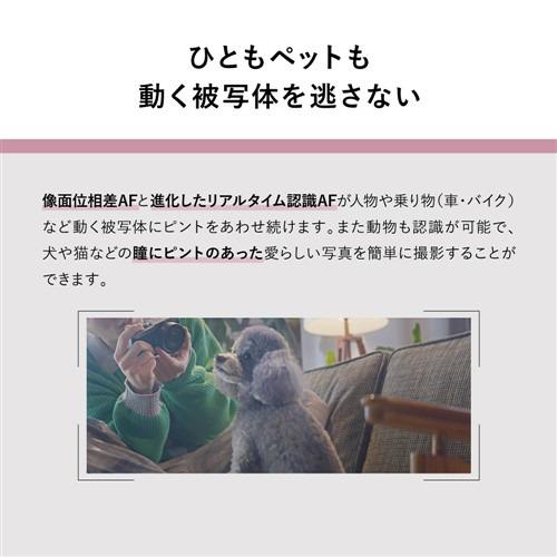 パナソニック DC-S9N-N デジタル一眼カメラ LUMIX 広角ズームレンズキット チタンゴールドの画像