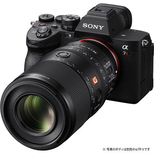 ソニー SEL100M28GM FE 100mm F2.8 Macro GM OSS 中望遠マクロレンズ G