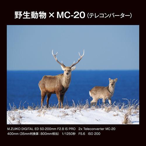 レンズ(ズーム) M.ZUIKO DIGITAL ED 14-150mm F4.0-5.6 ii OM SYSTEM MC-20 テレコンバーターレンズ 焦点距離を2倍に 防塵防滴