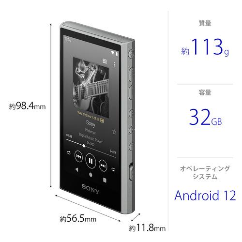 準美品 動作品 WALKMAN NW-A16 32GB ハイレゾ シルバー Sony NW-A16 Walkman 32GB Silver Digital Media Player