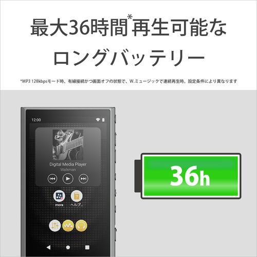ソニー NW-A306 H ウォークマン ハイレゾ音源対応 WALKMAN A300