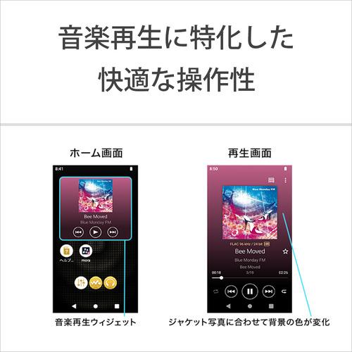 【推奨品】ソニー NW-A307 H ウォークマン ハイレゾ音源対応 WALKMAN A300シリーズ 64GB グレー｜yamada-denki｜12