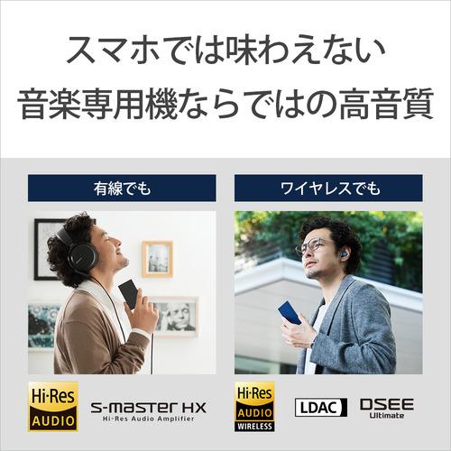 【推奨品】ソニー NW-A307 H ウォークマン ハイレゾ音源対応 WALKMAN A300シリーズ 64GB グレー｜yamada-denki｜04