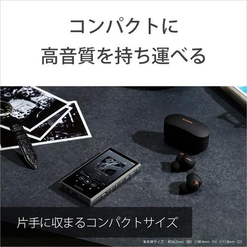 【推奨品】ソニー NW-A307 L ウォークマン ハイレゾ音源対応 WALKMAN A300シリーズ 64GB ブルー｜yamada-denki｜10