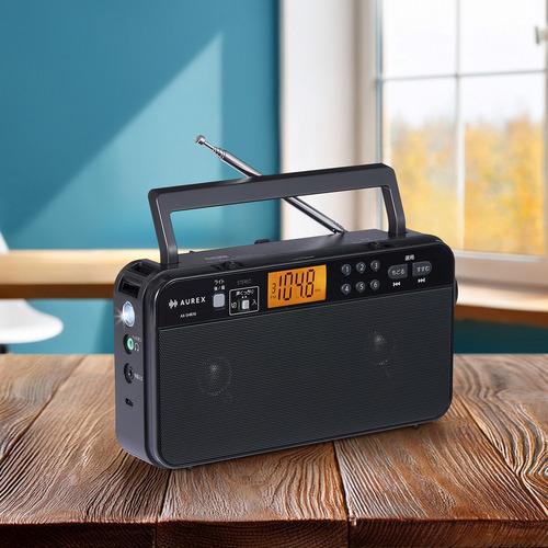 i T10 MP3プレイヤー ラジオ Amazon.co.jp: HanRongDa ポケットラジオ 小型 充電式 MP3プレーヤー