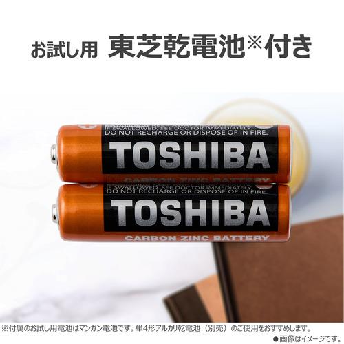 東芝 AX-PR40(N) ポケットラジオ AUREX(オーレックス) 漢字対応液晶