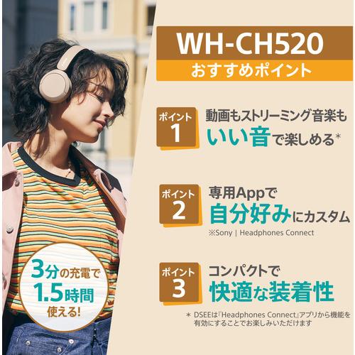 ソニー WH-CH520 L ワイヤレスステレオヘッドセット ブルー WHCH520 L｜yamada-denki｜03