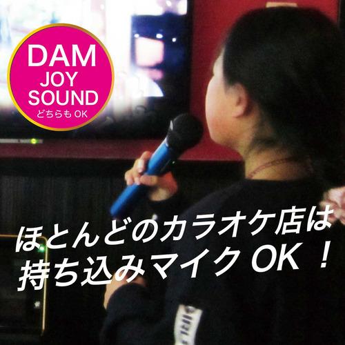 パイン・クリエイト GTM150 カラオケ用マイク PENTATONIC マットブラック パイン