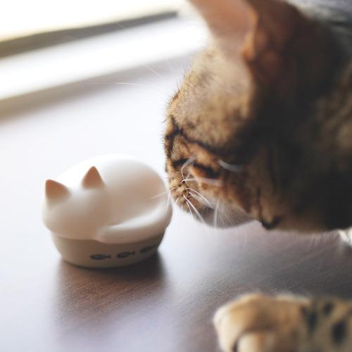ラディウス HP-C28BTC 完全ワイヤレスイヤホン 左右分離 Bluetooth対応 チャトラ_7