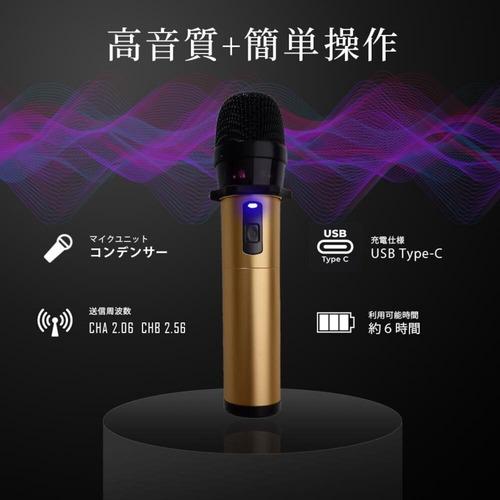 PENTATONIC GTM300 カラオケ用マイク シャンパンロゼ : ヤマダデンキ