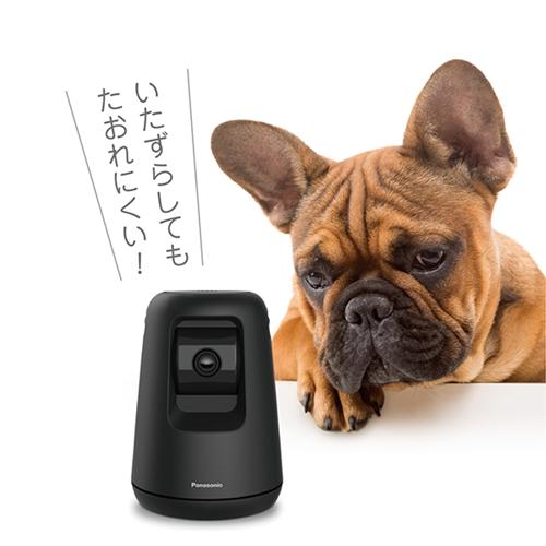 パナソニック KX-HDN215-K HDペットカメラ ブラック KXHDN215