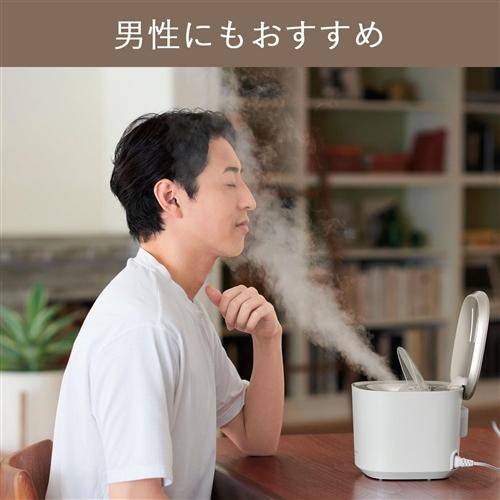 パナソニック EH-SA0B-N スチーマー ナノケア ゴールド調EHSA0BN 