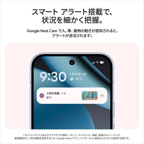 Google GA09973-JP セキュリティカメラ Nest Cam Indoor Snow