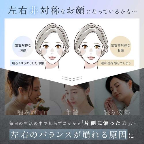 日創プラス EMS美顔ローラーBEROLA(ベローラ) NIPLUX(ニップラックス) NPBRL23SVの画像