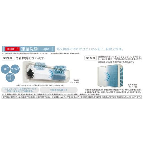 日立 エアコン 10畳 凍結洗浄Light シーズン前自動点検 カビバスター