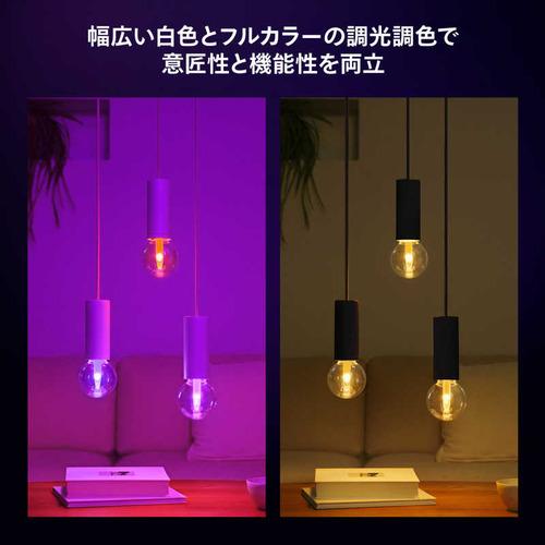 フィリップスPhilips Hue ライトガイド E26 G95 ボール電球形 40W相当