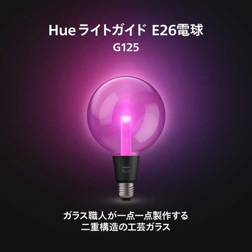 フィリップスPhilips Hue ライトガイド E26 G125 一般電球形 40W相当 1個 全方向タイプ PHLG-G12の画像