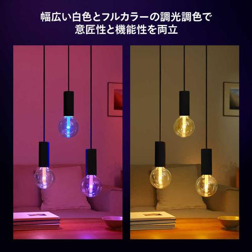 フィリップスPhilips Hue ライトガイド E26 G125 一般電球形 40W相当 1個 全方向タイプ PHLG-G12の画像