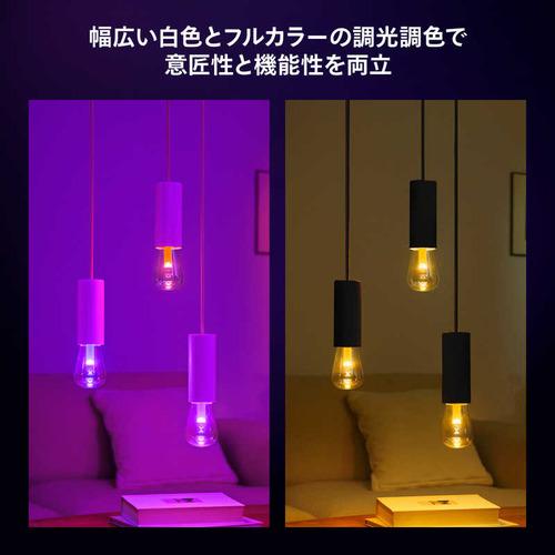 フィリップスPhilips Hue ライトガイド E26 ST72 一般電球形 40W相当 1