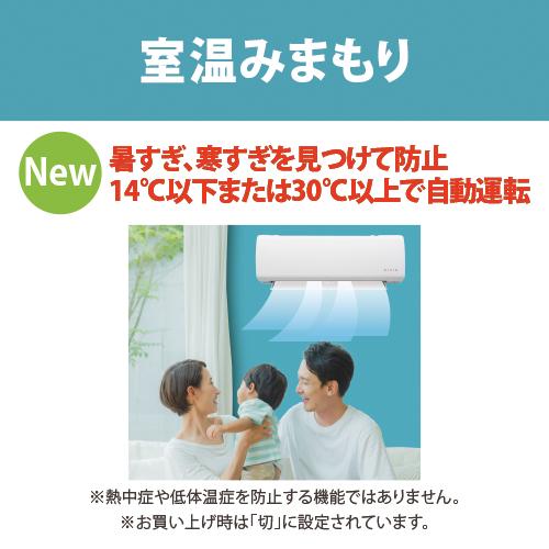 RIAIR エアコン 6畳 室温みまもり 猛暑に強い室外機 100V 省エネ基準