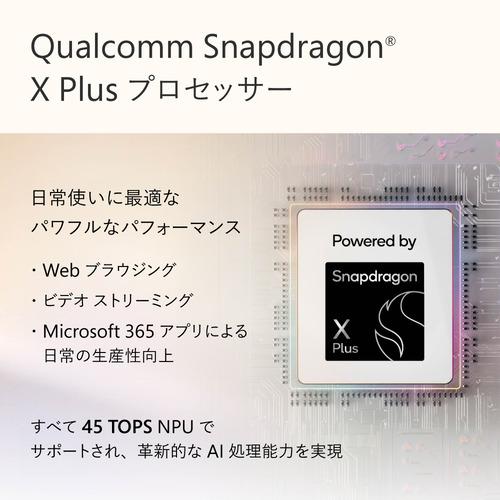 Microsoft EP2-27747 Surface Pro [12型 | 2196 x 1464 Snapdragon X