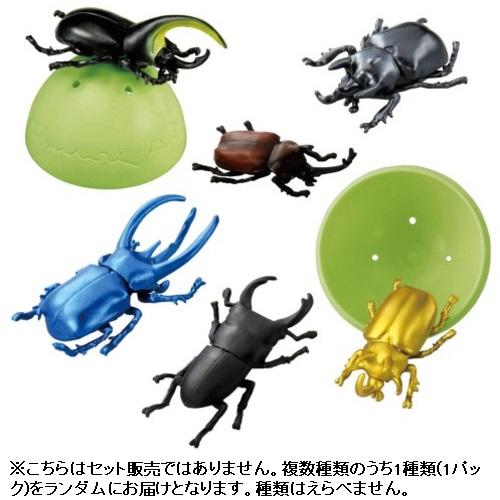 タカラトミー アニアのたまご 昆虫コレクション ／3歳〜 幼児用