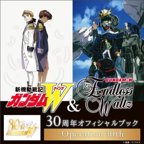 ガンダムW 資料集 6冊 新機動戦記ガンダムW Endless Waltz 3D&設定資料集 (DENGEKI