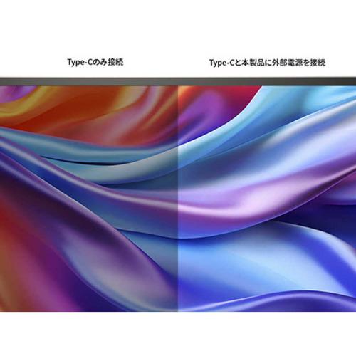 JAPANNEXT 17.3インチ IPSパネル搭載 フルHD モバイルモニター JN-MD